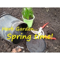 Herb Garden ... Spring time!